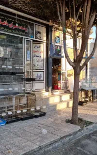 لوازم دان قفس وملزومات پرندگان وقفسmahan