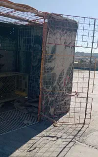 قفس یا چخ