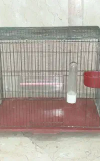 قفس پرنده
