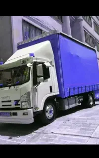 شرکت حمل و نقل (نمونه)دکتر و متخصص اسباب کشی