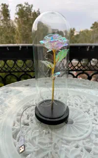 چراغ خواب گل رز