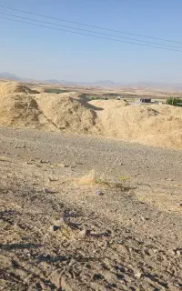 کاه دیم