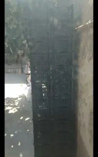 جعبه پلاستیکی انگور