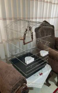 قفس بزرگ پرنده