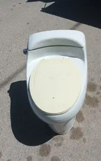 توالت فرنگی