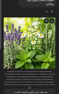 کار برای بانوان