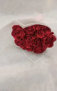 گل زیبا