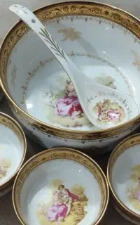 ظروف پذیرایی دنسی نو