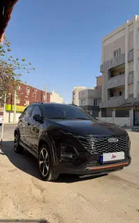 x33 کراس استثنایی