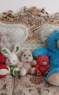 عرسک خرسی وخرگوش