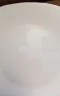 آکروپال لب طلایی