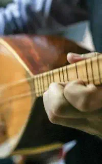 فروش و آموزش باغلاما