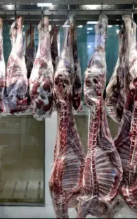 سوپر گوشت بره نر مغان و گوساله( سبد کالا برگ)