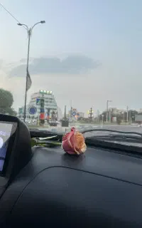 راننده خانم برای سرویس بوشهرمال