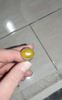تعدادی انگشترسالم وشکسته