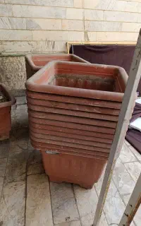 24عدد گلدون بزرگ 50/50