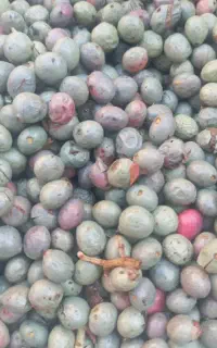 انوشگ سبز