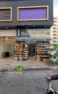 صندوقدار خانم