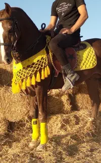 نریون دره شور