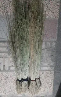 جارو کوهی