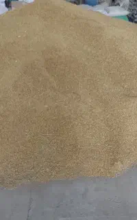 جو شش پر درجه ۱ بذری