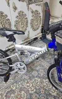 دوچرخه