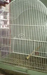قفس پرنده