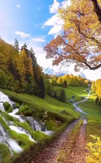 تور بی حاشیه