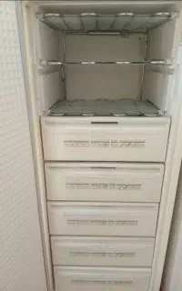 فریزر پارس