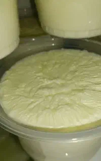 ماست پرچرب جرسی