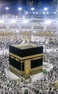 یک عدد فیش حج تمتع