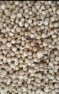 انجیر کوهی  استهبان دستچین شده