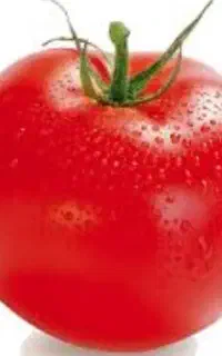 آبگوجه گیری ثابت و سیار سید نورااله
