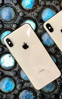 Xs max 256