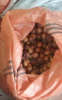فروش