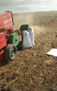 کاه قارادنه