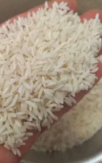 برنج هاشمی