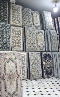 پشتی نیگار طوسی