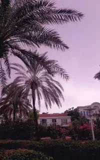 گروه گردشگری کیش