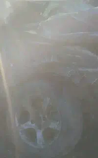 تصادفی