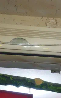 وسایل کامل کافه