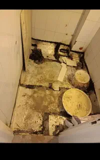 کاشیکار