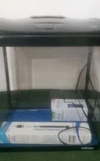 آکواریوم‌شرکتی