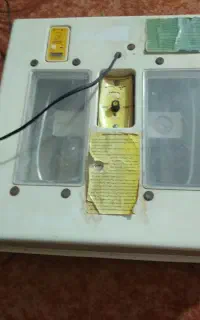 دستگاه جوجه کشی