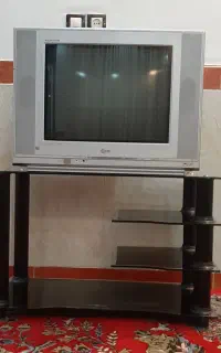 تلوزیون