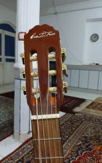 گیتار بست فان e150 شش سیم