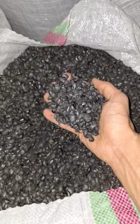 کربن پوست پسته