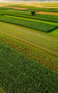 اخذ سند زمین هکتاری