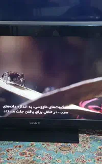 ال سی دی