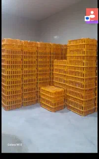 سبد برای حمل مرغ